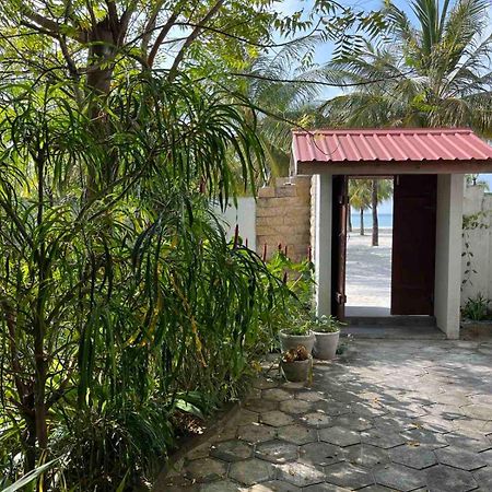 فندق سكن سيروليان فيو Hanimaadhoo Island المظهر الخارجي الصورة