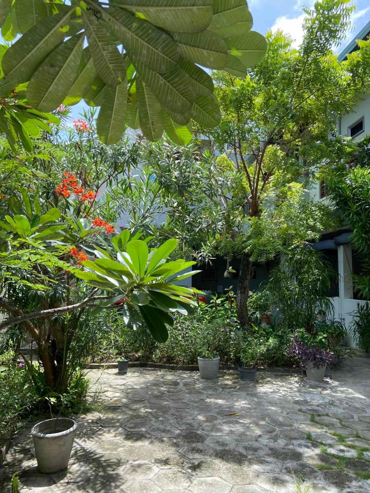 فندق سكن سيروليان فيو Hanimaadhoo Island المظهر الخارجي الصورة
