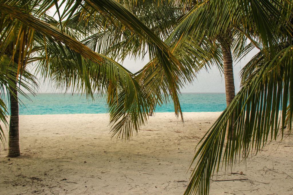 فندق سكن سيروليان فيو Hanimaadhoo Island المظهر الخارجي الصورة